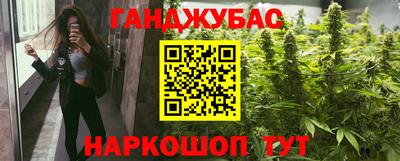 мдпв Кингисепп