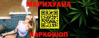 мдпв Кингисепп