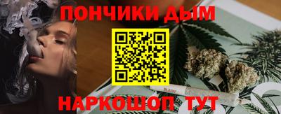 мдпв Кингисепп