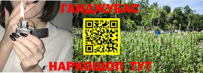 мдпв Кингисепп