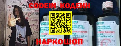мдпв Кингисепп