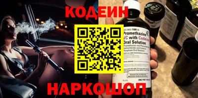 мдпв Кингисепп