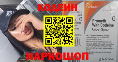 мдпв Кингисепп