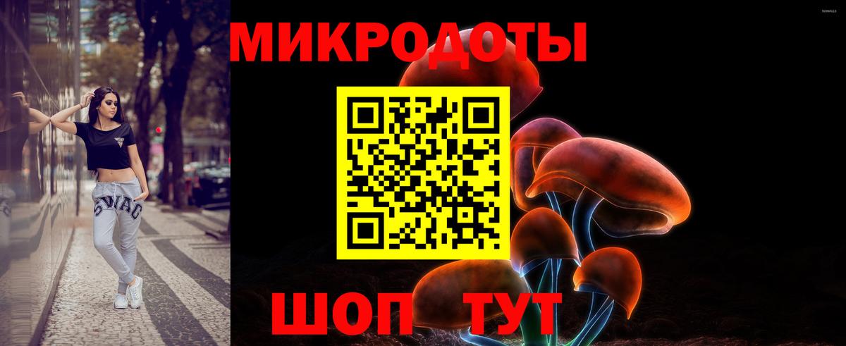 Псилоцибиновые грибы мицелий Куйбышев